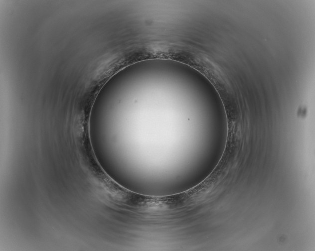 X0000091210702200708091347