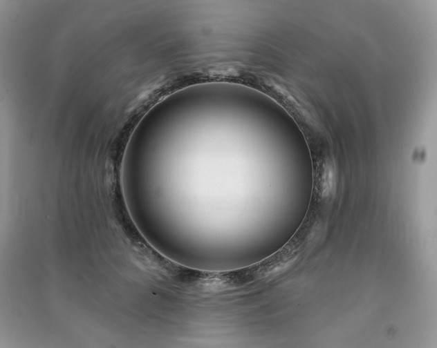 X0000091210704200708091347