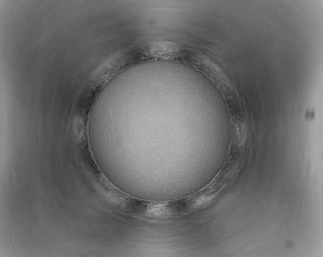 X0000091210705200708091347