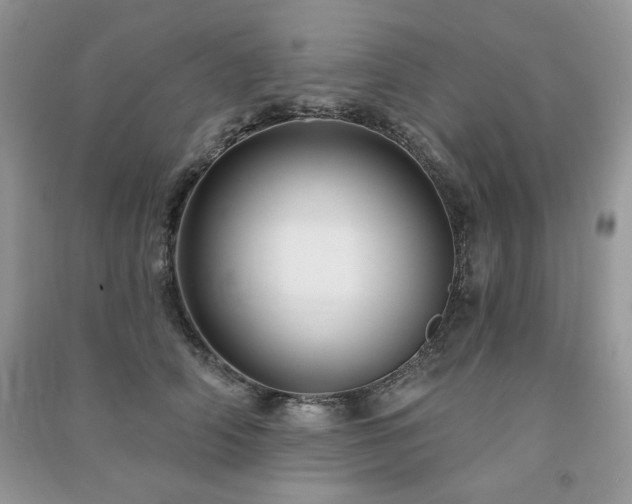 X0000091210706200708091347