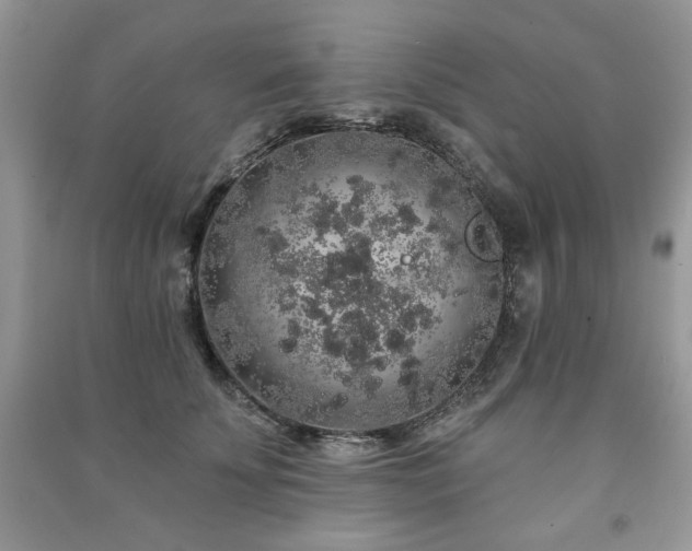 X0000091210707200708091347