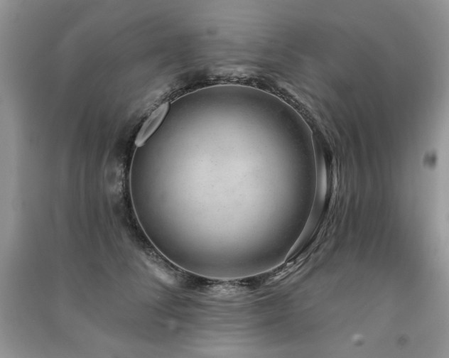 X0000091210708200708091347