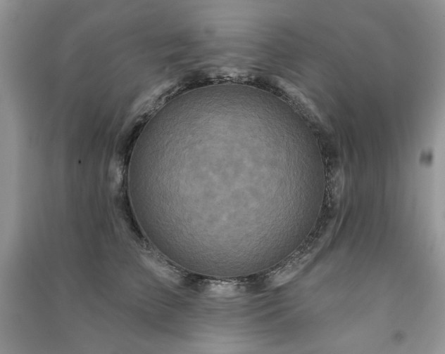 X0000091210709200708091347