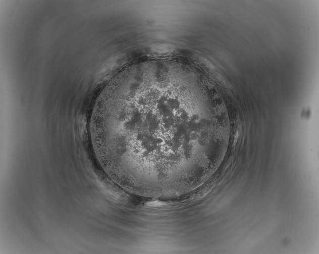 X0000091210711200708091347