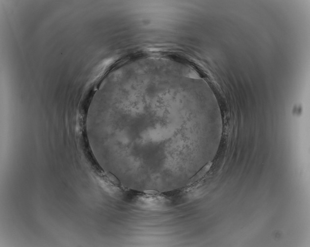 X0000091210712200708091347