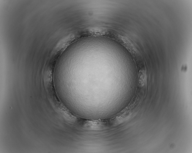 X0000091210713200708091347