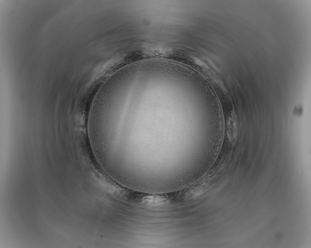 X0000091210714200708091347