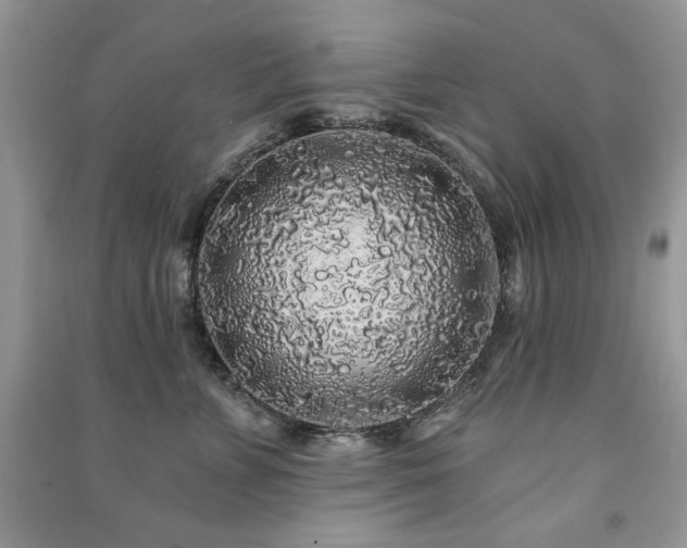 X0000091210715200708091347