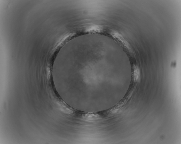 X0000091210716200708091347
