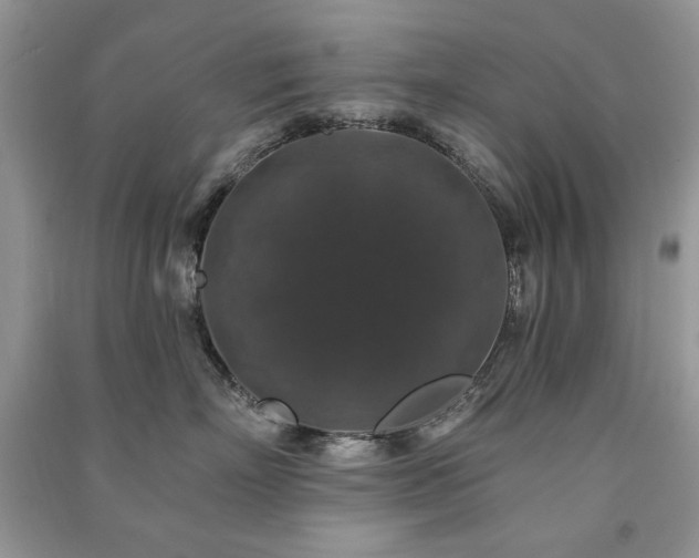 X0000091210718200708091347
