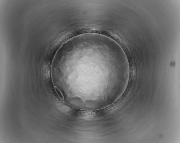 X0000091210719200708091347