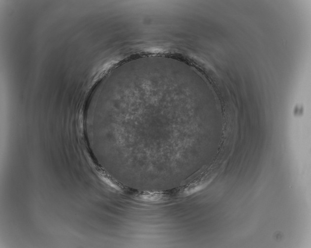 X0000091210720200708091347