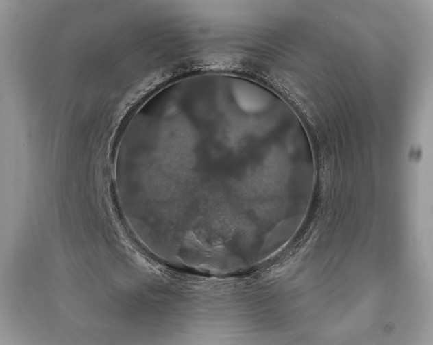 X0000091210721200708091346