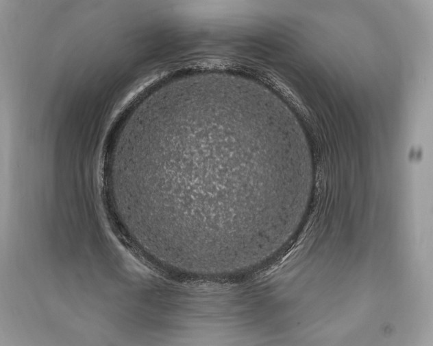 X0000091210722200708091346