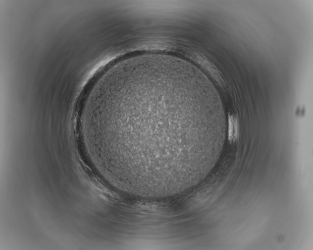 X0000091210723200708091346
