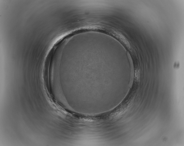 X0000091210724200708091346