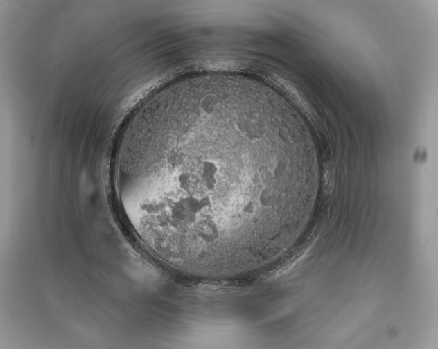 X0000091210725200708091346