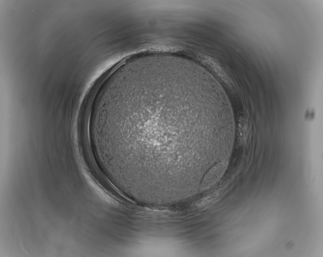 X0000091210726200708091347