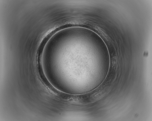 X0000091210727200708091347