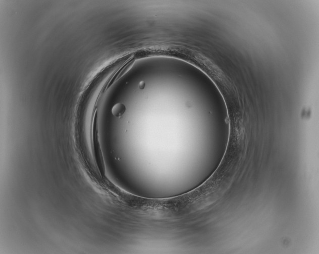 X0000091210728200708091347