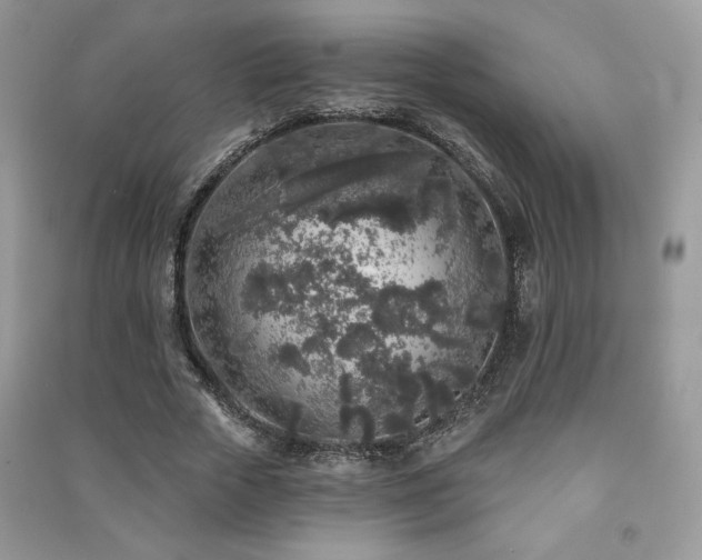 X0000091210729200708091347