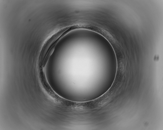 X0000091210730200708091347