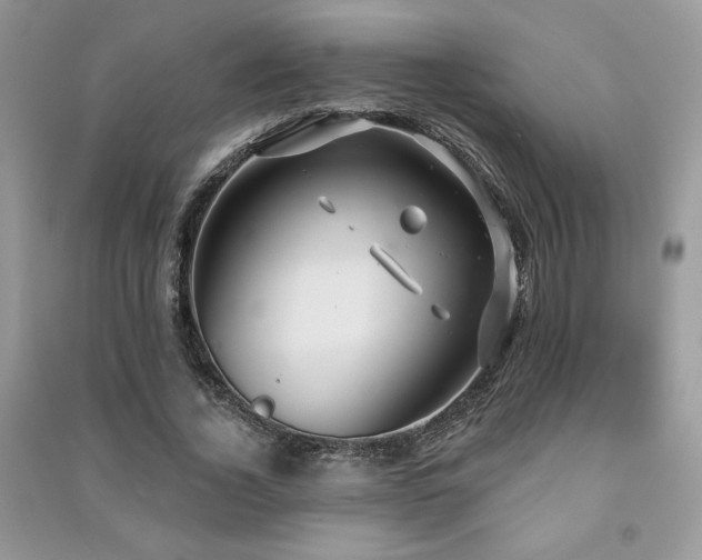 X0000091210732200708091347