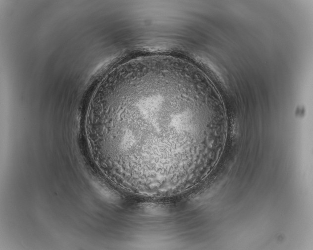 X0000091210733200708091347