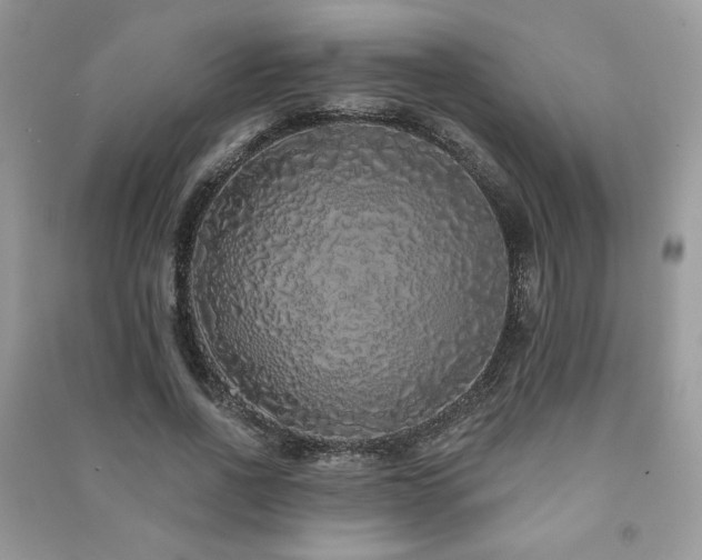 X0000091210734200708091347