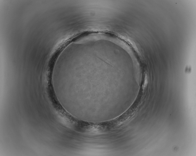 X0000091210736200708091347