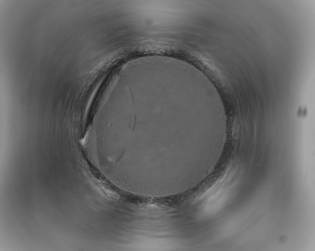X0000091210737200708091347