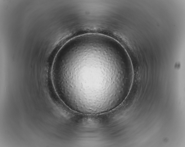 X0000091210739200708091347