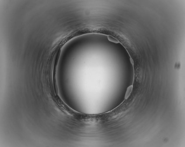 X0000091210740200708091347