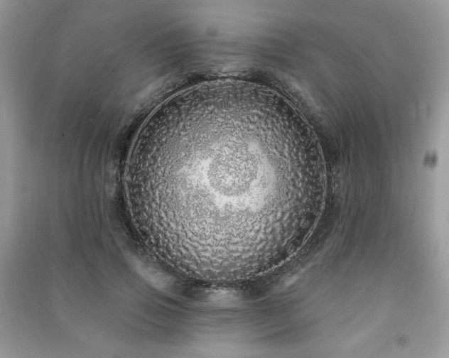 X0000091210741200708091347