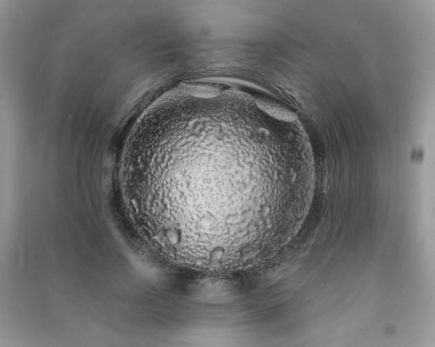 X0000091210742200708091347