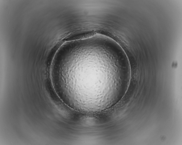 X0000091210743200708091347