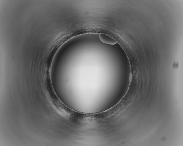 X0000091210744200708091347