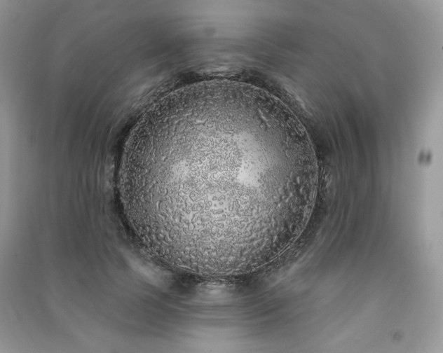 X0000091210745200708091347