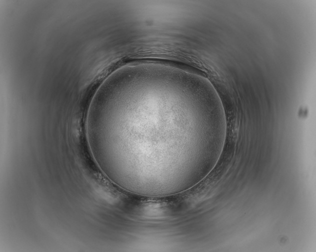 X0000091210746200708091347