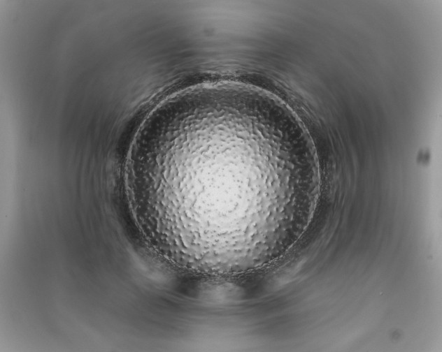 X0000091210747200708091347