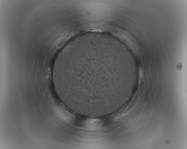 X0000091210748200708091347