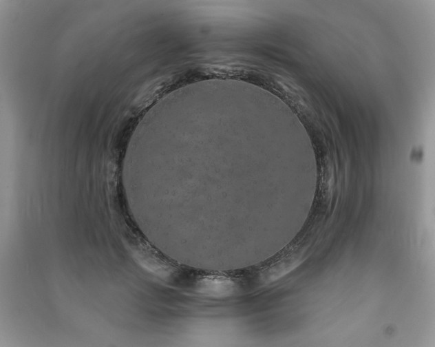 X0000091210749200708091347