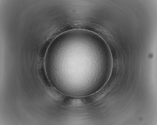 X0000091210751200708091347