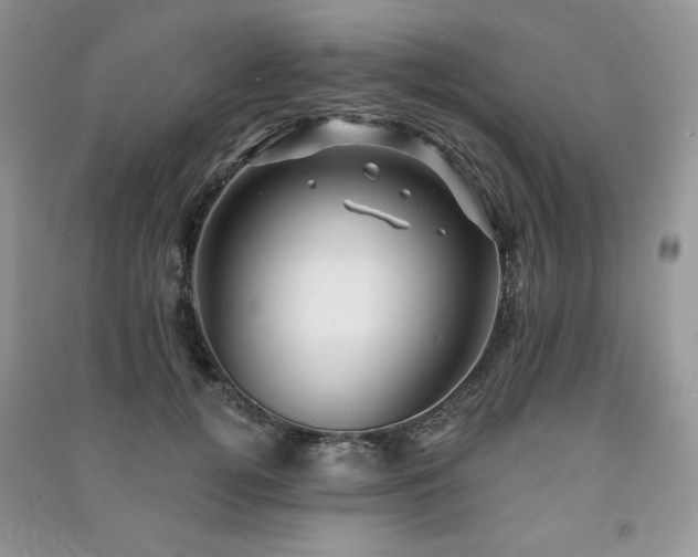 X0000091210752200708091347