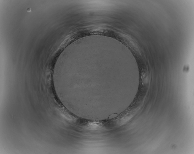 X0000091210753200708091347