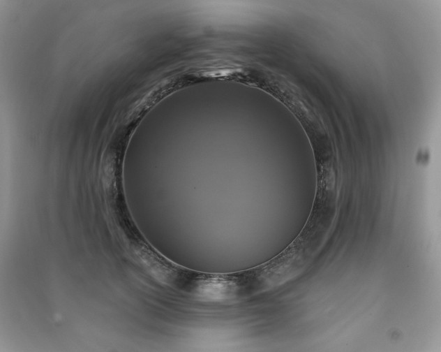 X0000091210754200708091347