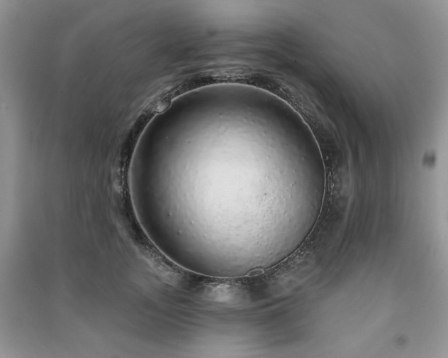 X0000091210755200708091347