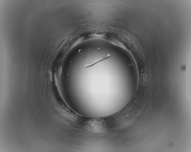 X0000091210756200708091347