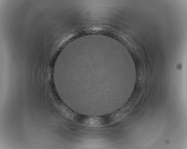 X0000091210758200708091347