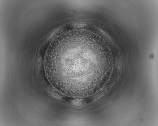 X0000091210761200708091347